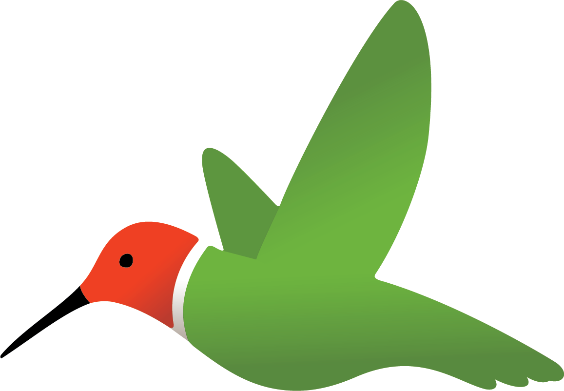 Harmony the Robeks Hummingbird