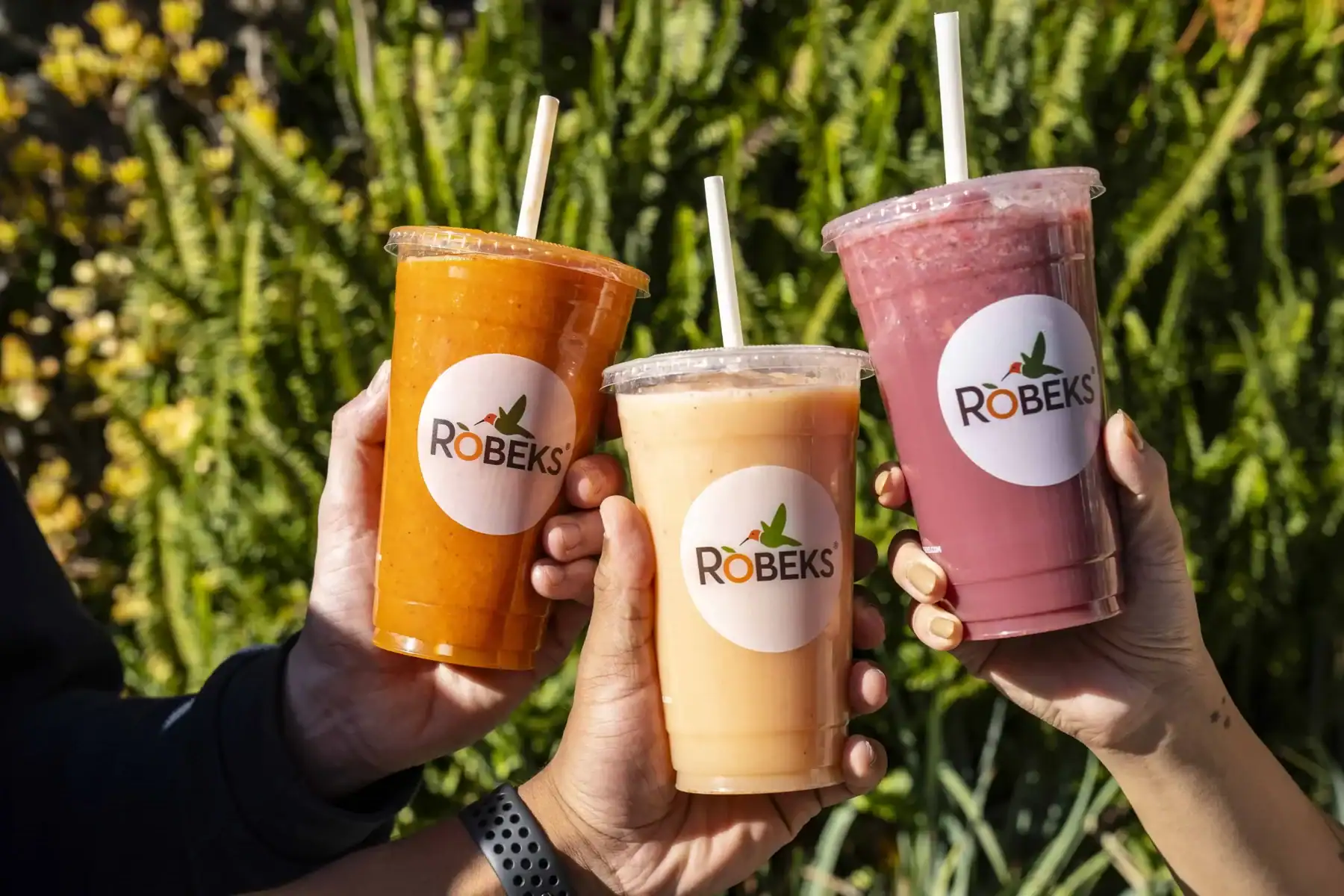 6 Reasons Robeks is One of the Best Smoothie Franchises